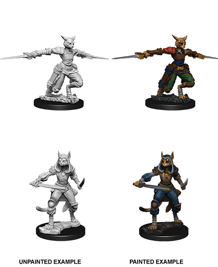 D&D Nolzur's Marvelous Miniatures: Tabaxi Rogue | Jack's On Queen