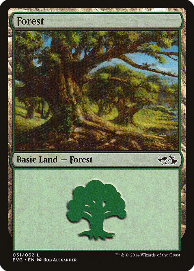 Forest (31) (Elves vs. Goblins) [Duel Decks Anthology] | Jack's On Queen