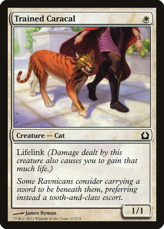 Trained Caracal [Return to Ravnica] | Jack's On Queen