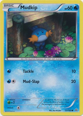 Mudkip (33/160) (Sheen Holo) [XY: Primal Clash] | Jack's On Queen