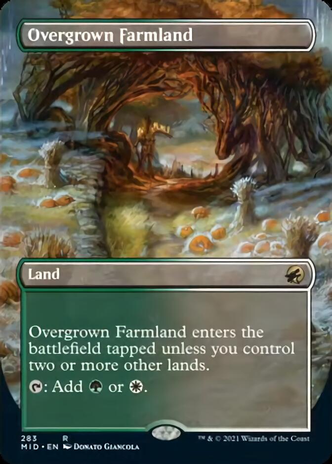 Overgrown Farmland (Borderless) [Innistrad: Midnight Hunt] | Jack's On Queen