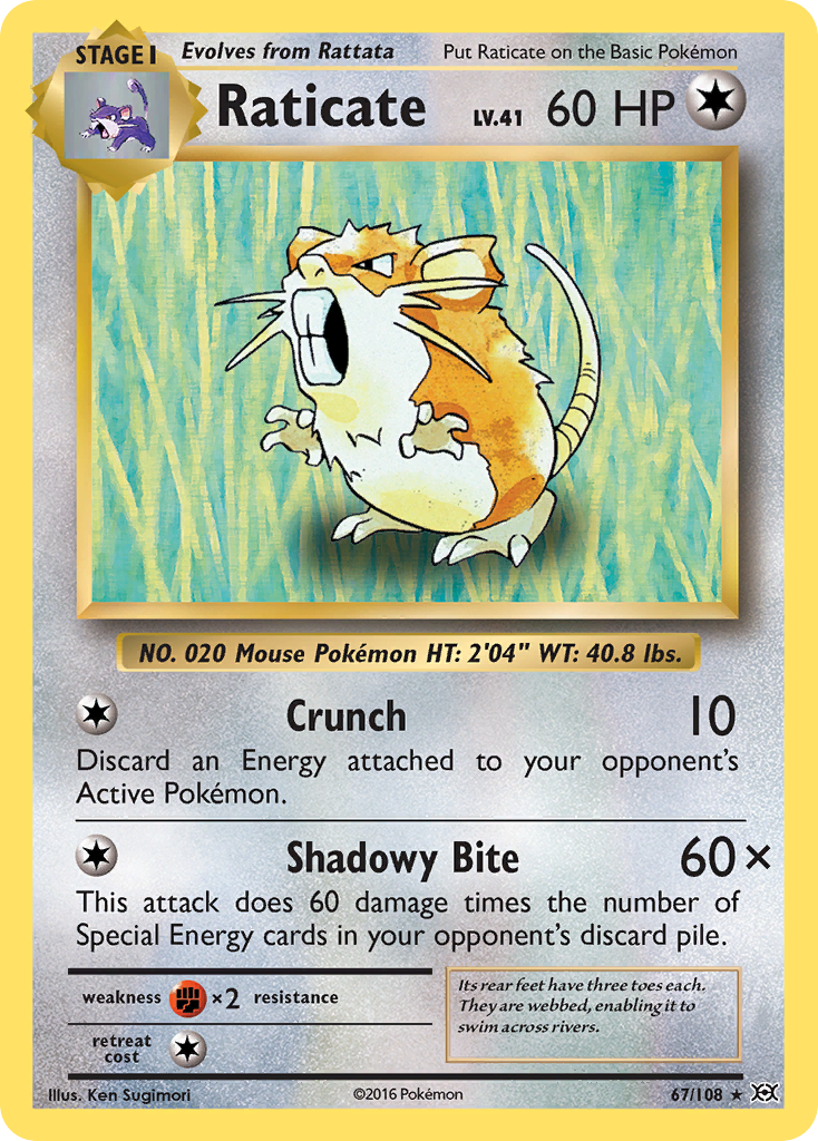 Raticate (67/108) [XY: Evolutions] | Jack's On Queen