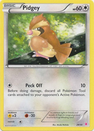 Pidgey (29/30) [XY: Trainer Kit 1 - Wigglytuff] | Jack's On Queen