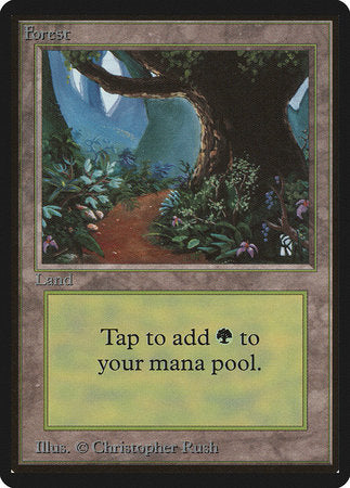 Forest (B) [Limited Edition Beta] | Jack's On Queen