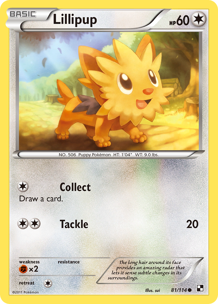 Lillipup (81/114) [Black & White: Base Set] | Jack's On Queen