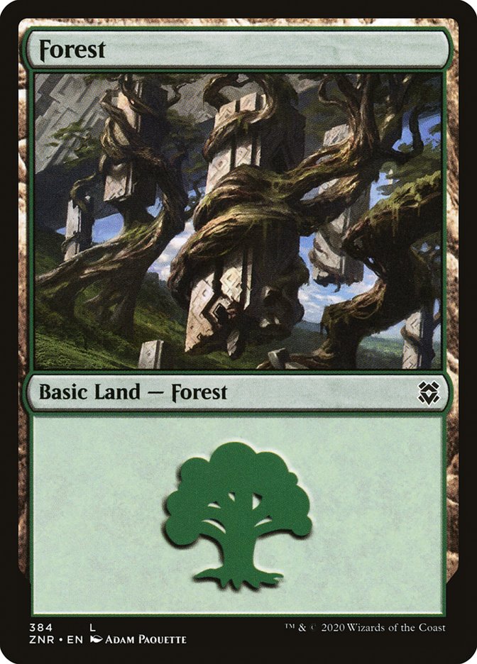Forest (384) [Zendikar Rising] | Jack's On Queen