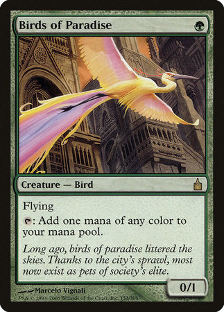 Birds of Paradise [Ravnica: City of Guilds] | Jack's On Queen