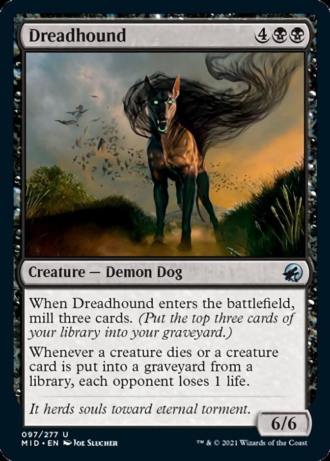 Dreadhound [Innistrad: Midnight Hunt] | Jack's On Queen