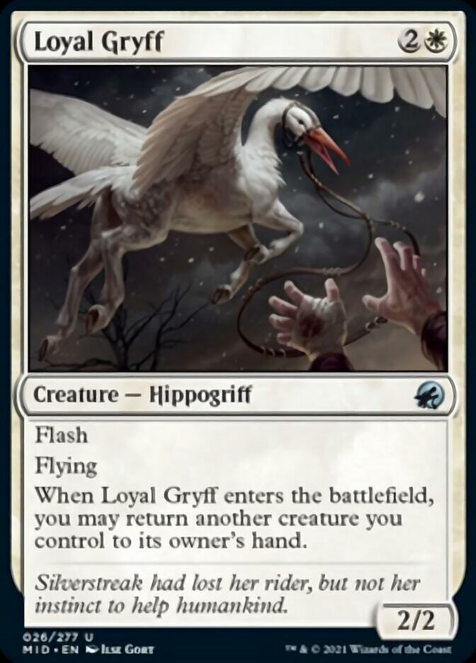 Loyal Gryff [Innistrad: Midnight Hunt] | Jack's On Queen