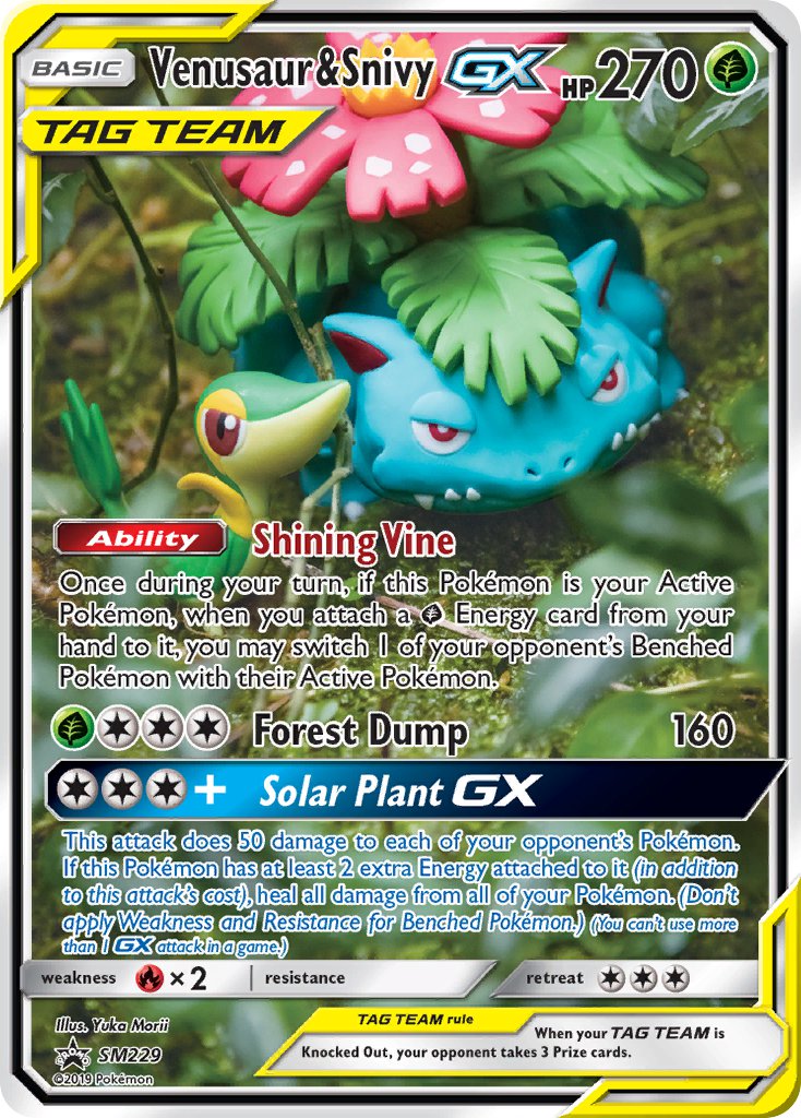 Venusaur & Snivy GX (SM229) [Sun & Moon: Black Star Promos] | Jack's On Queen