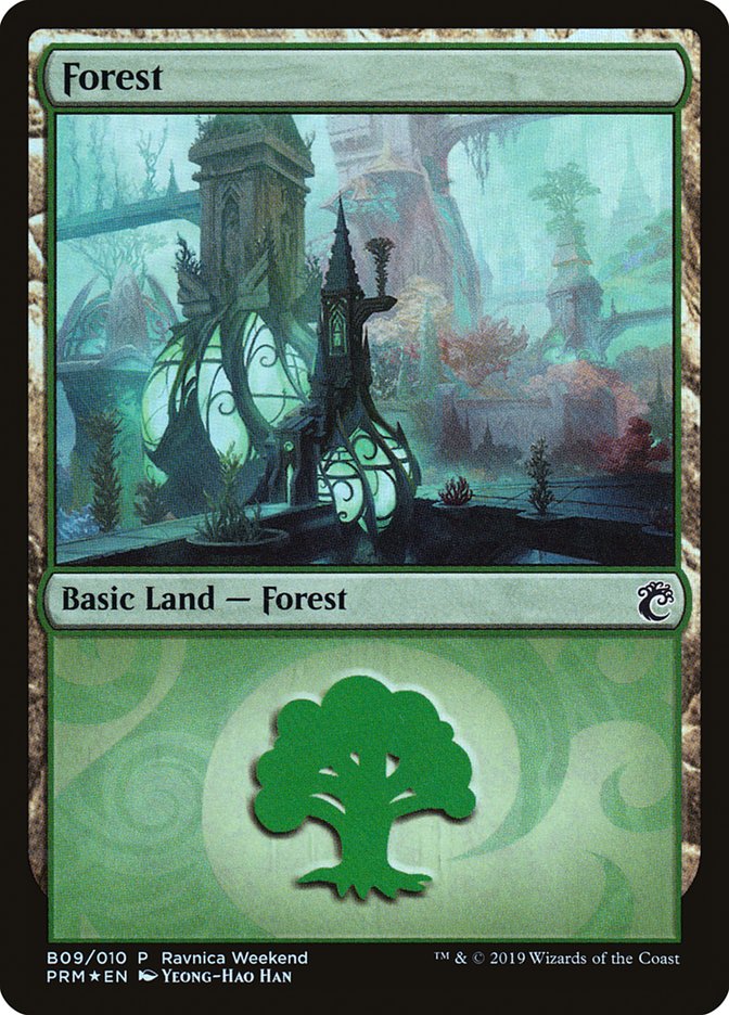 Forest (B09) [Ravnica Allegiance Guild Kit] | Jack's On Queen