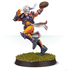 Elfheim Eagles Blood Bowl Team | Jack's On Queen