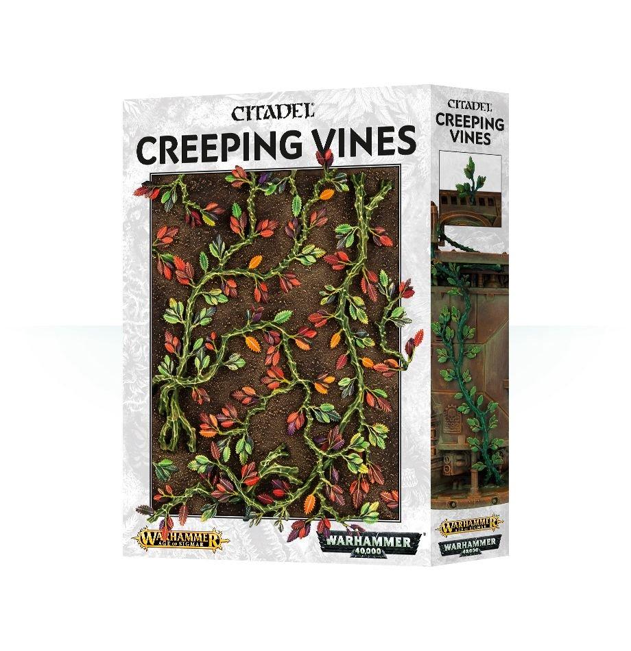 Creeper Vines | Jack's On Queen