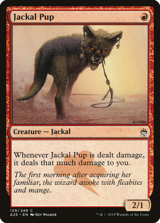 Jackal Pup [Masters 25] | Jack's On Queen