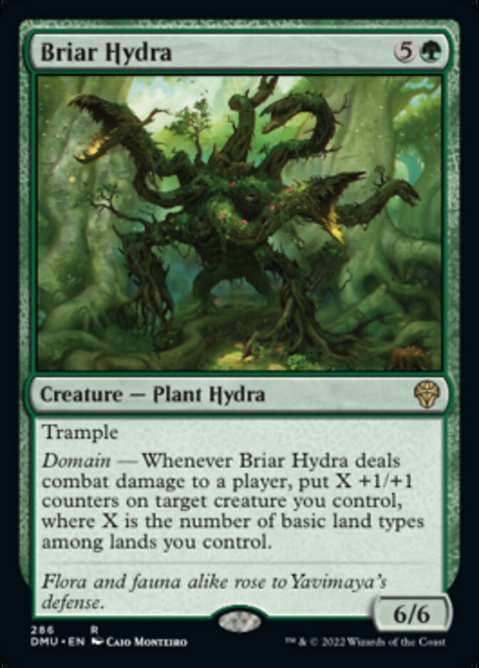 Briar Hydra [Dominaria United] | Jack's On Queen