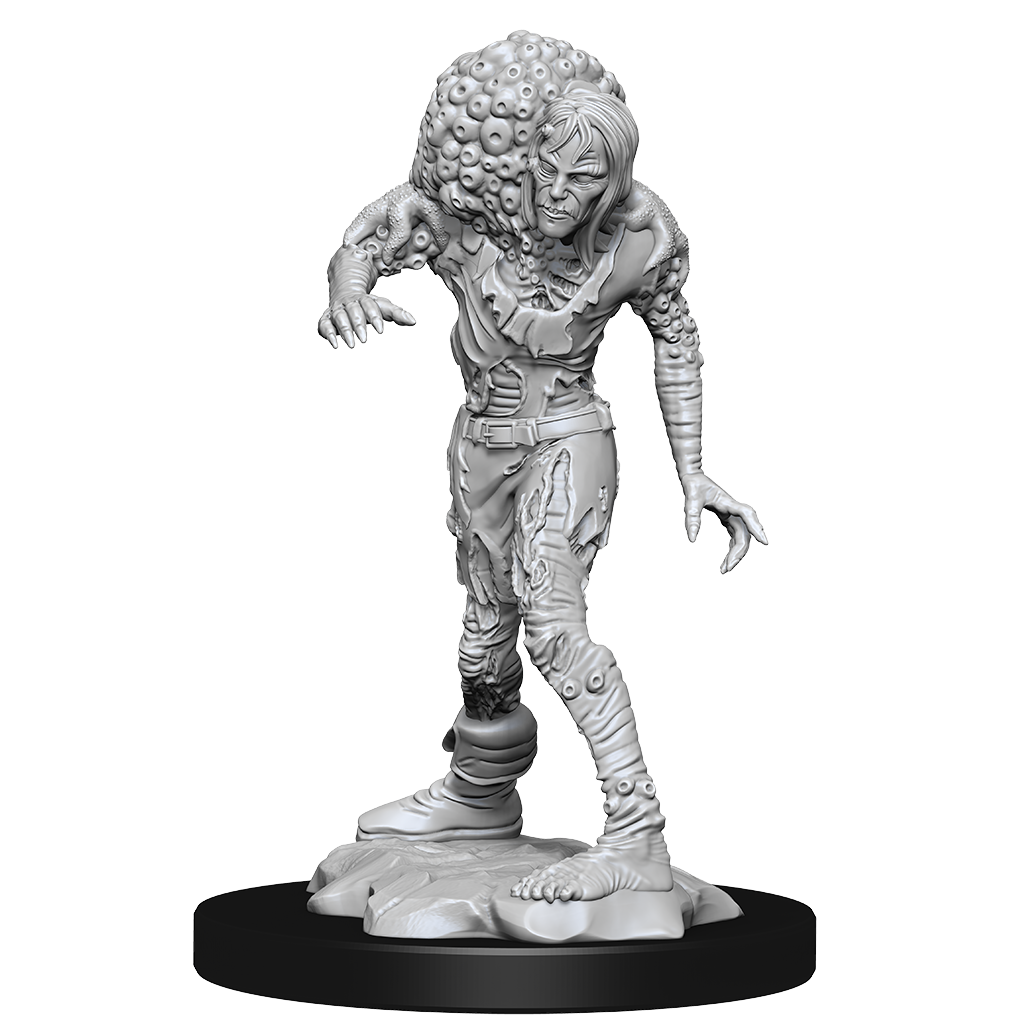 DND UNPAINTED MINIS WV14 DROWNED ASSASSIN & ASETIC | Jack's On Queen