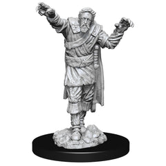 DND UNPAINTED MINIS WV14 SCARECROW & STONE CURSED | Jack's On Queen