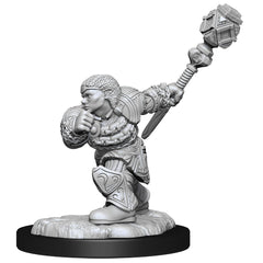 MTG UNPAINTED MINIS WV14 DWARF FIGHTER & CLERIC | Jack's On Queen