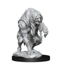 PF UNPAINTED MINIS WV14 ANNIS HAG & GREEN HAG | Jack's On Queen