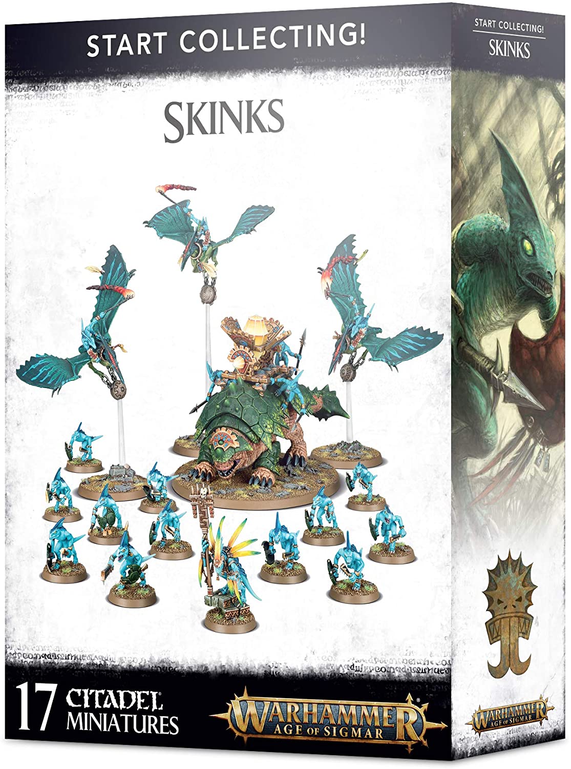 Start Collecting! Skinks | Jack's On Queen