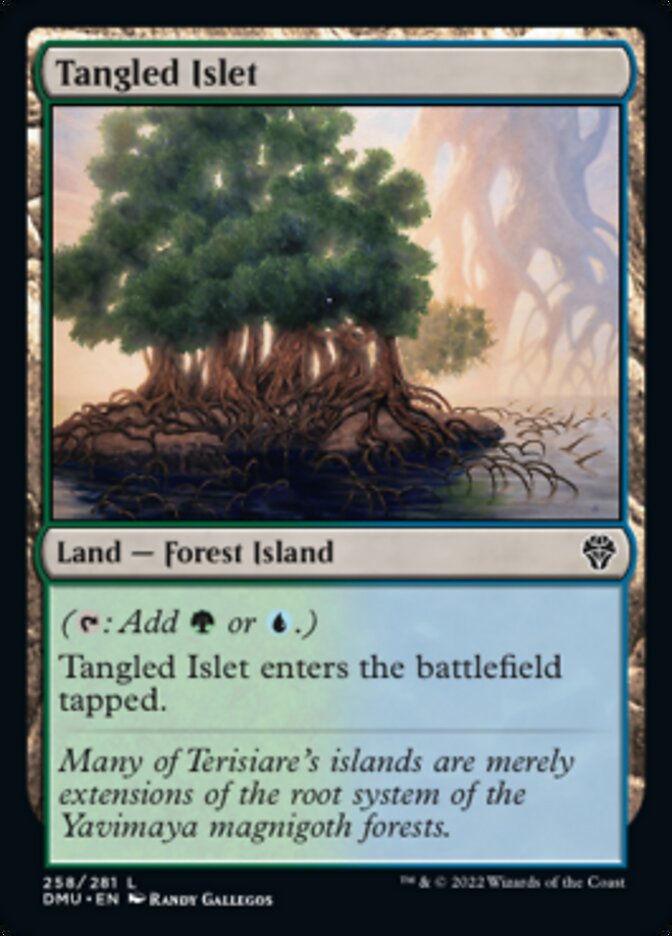 Tangled Islet [Dominaria United] | Jack's On Queen