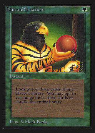 Natural Selection (IE) [Intl. Collectors’ Edition] | Jack's On Queen