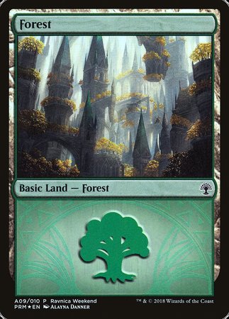 Forest - Selesnya (A09) [GRN Ravnica Weekend] | Jack's On Queen