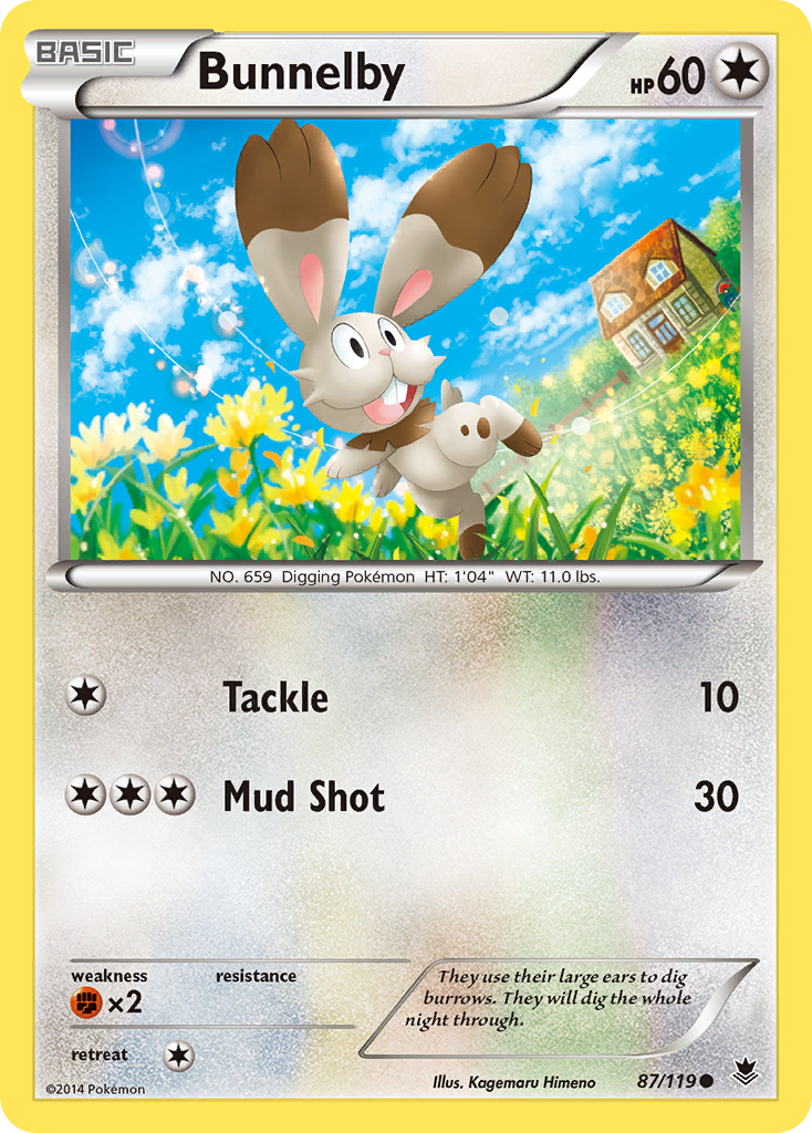 Bunnelby (87/119) [XY: Phantom Forces] | Jack's On Queen