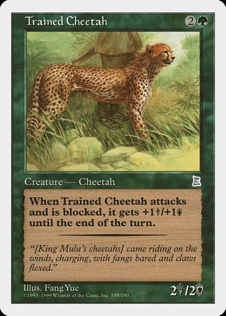 Trained Cheetah [Portal Three Kingdoms] | Jack's On Queen