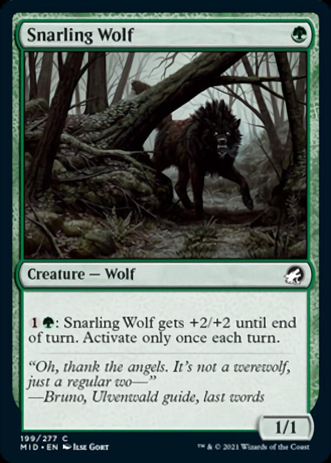 Snarling Wolf [Innistrad: Midnight Hunt] | Jack's On Queen