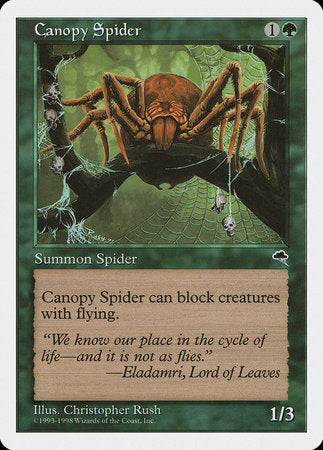 Canopy Spider [Anthologies] | Jack's On Queen