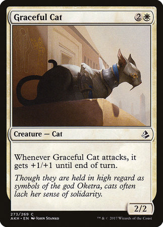 Graceful Cat [Amonkhet] | Jack's On Queen