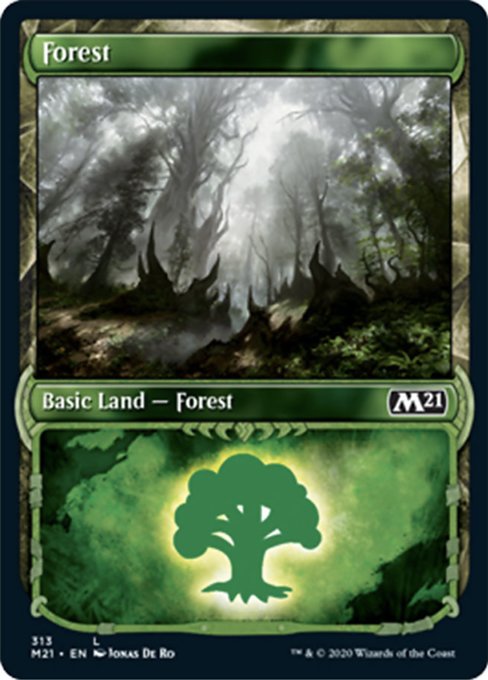 Forest (Showcase) [Core Set 2021] | Jack's On Queen