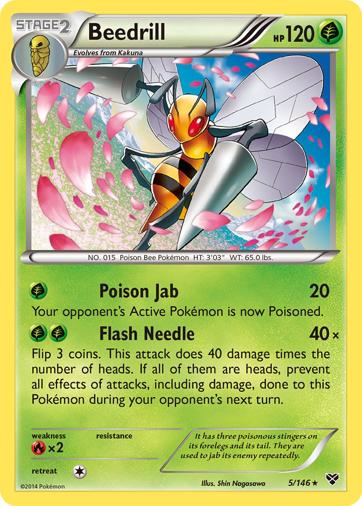 Beedrill (5/146) [XY: Base Set] | Jack's On Queen