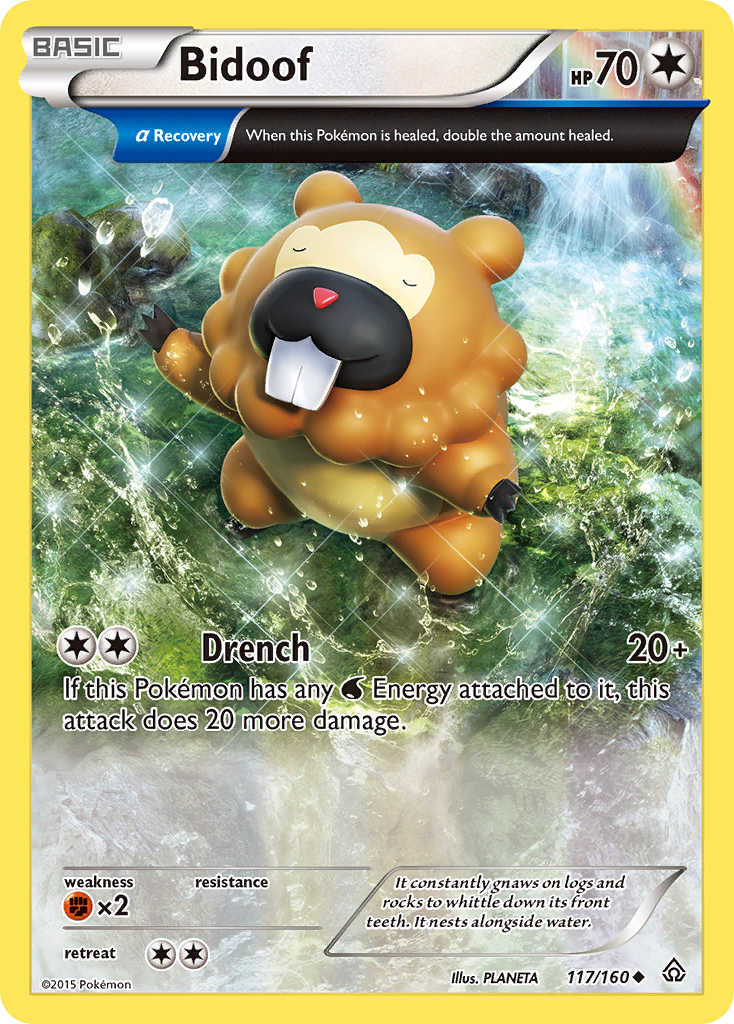 Bidoof (117/160) [XY: Primal Clash] | Jack's On Queen