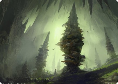 Forest (280) Art Card [Dungeons & Dragons: Adventures in the Forgotten Realms Art Series] | Jack's On Queen