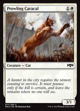 Prowling Caracal [Ravnica Allegiance] | Jack's On Queen