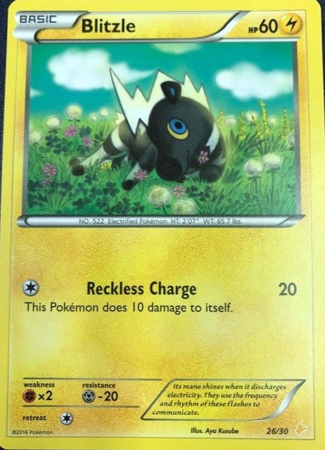 Blitzle (26/30) [XY: Trainer Kit 3 - Pikachu Libre] | Jack's On Queen