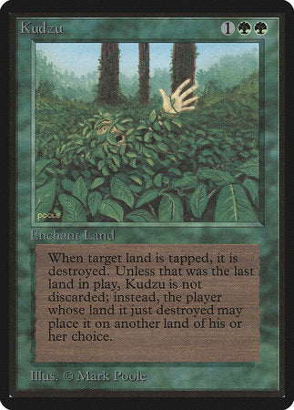 Kudzu [Limited Edition Beta] | Jack's On Queen