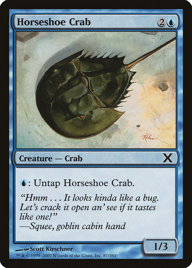 Horseshoe Crab [Tenth Edition] | Jack's On Queen