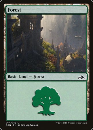 Forest [Guilds of Ravnica] | Jack's On Queen