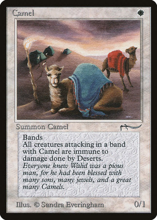 Camel [Arabian Nights] | Jack's On Queen