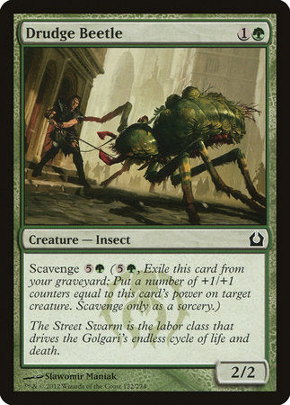 Drudge Beetle [Return to Ravnica] | Jack's On Queen