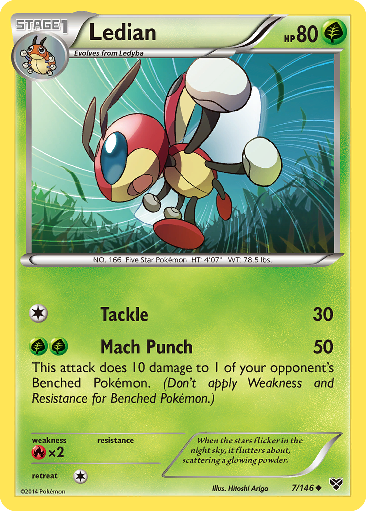 Ledian (7/146) [XY: Base Set] | Jack's On Queen