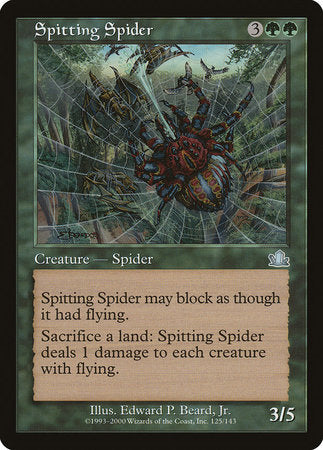 Spitting Spider [Prophecy] | Jack's On Queen