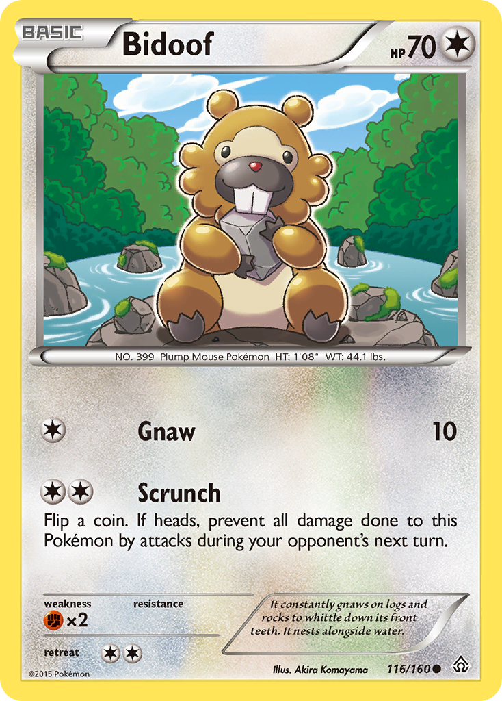 Bidoof (116/160) [XY: Primal Clash] | Jack's On Queen