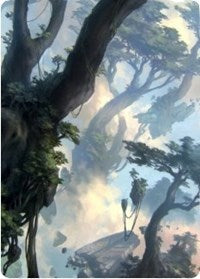 Forest 1 Art Card [Zendikar Rising Art Series] | Jack's On Queen